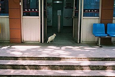 变化灵感源自《2001太空漫游》？ 伊藤裕之暗示《最终幻想9》trance系统来源